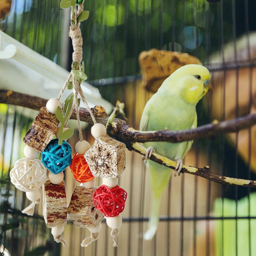 Columpio Para Masticar Con Forma De Pájaro, Loro, Colgado, C