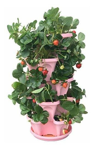 5-tier Fresa Y Herb Garden Planter - Apilable Jardinería Mac