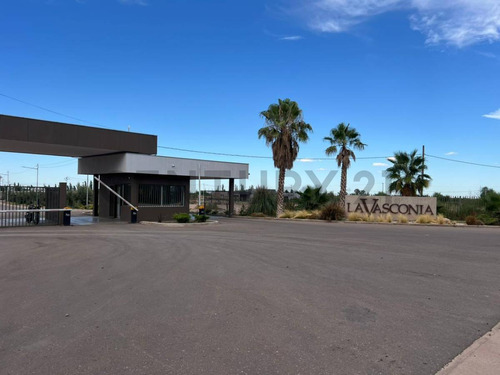 Century21lopez Vende Lote En Barrio La Vasconia Coquimbito Maipu.