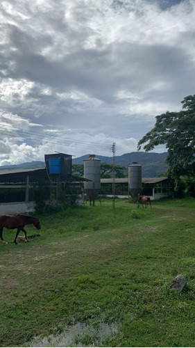 Finca Agropecuaria En Montalbán / Edo Carabobo.