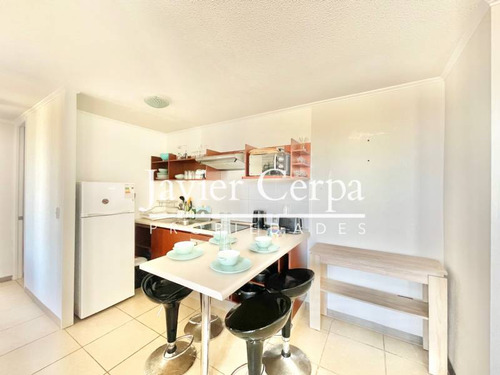 Arriendo De Marzo A Diciembre Depto Amoblado Segunda Línea