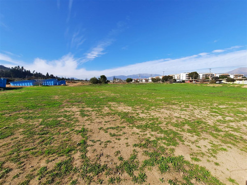 Sitio Comercial En Venta En Limache