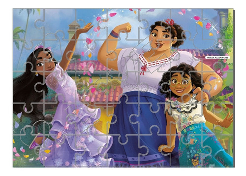 Puzzle Rompecabezas Encanto Pelicula Niñas Dia Del Niño D5
