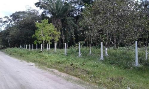 Chácara Com 2 Mil Metros E Escritura Em Itanhaém Litoral Sul