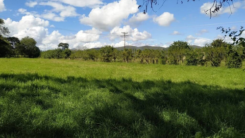 Imagen 4 de 14 de 165595 Katherine Castillo 0412-8567234 Venta Finca Carretera Aguirre