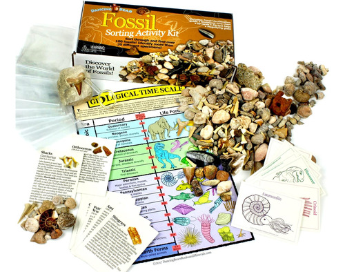 Fossil Collection - Kit De Actividades De Clasificació...