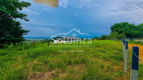 Imagen 21 de 27 de Amplia Finca, Colinas De San Benito - El Vigía