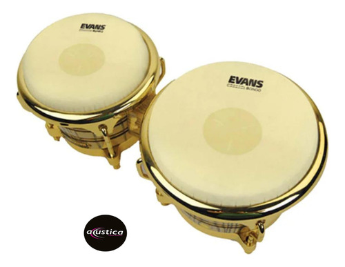 Parche Bongo Sintetico Evans Combo Pack 7 1/4 - 8 5/8 Eb0709