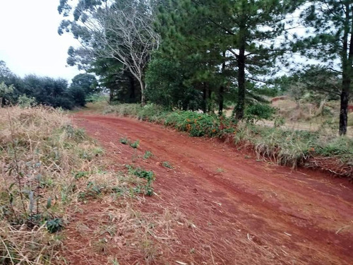 Imagen 4 de 7 de Loteo Don Kurrle, Hermosos Terrenos En San Pedro, Misiones