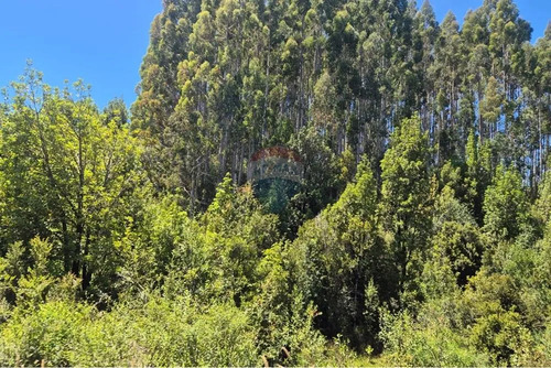 Venta Parcela En Condominio Rio Puntra Ancud