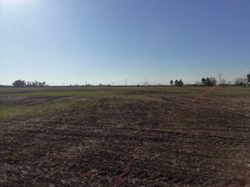 Imagen 3 de 8 de Campo En Venta - Alvear - Ideal Emprendimiento Inmobiliario U Otro