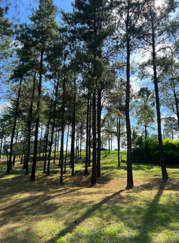 Imagen 9 de 17 de Lote La Reserva