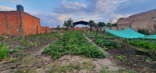 Imagen 2 de 5 de Terreno Nueva Formosa Grande Paulina Economico