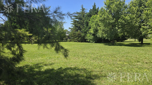 Venta De Terreno De 1163 M2 En Altos De Brandsen Los Cipreses