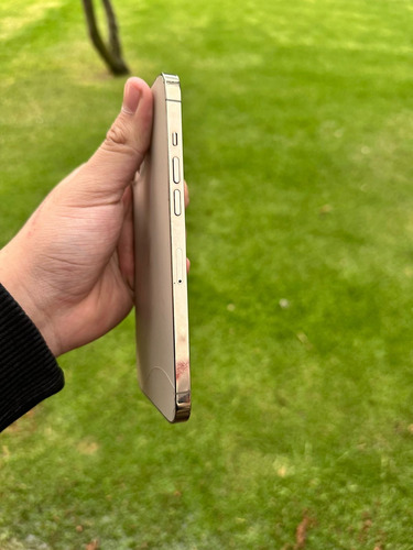 Iphone 12 Pro Max Dorado 128gb Dorado Claro (Usado)