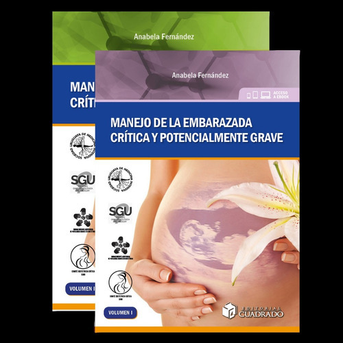 Manejo De La Embarazada Crítica Y Potencialmente Grave (2 