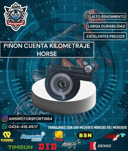 Piñon Cuenta Kilometraje Horse 