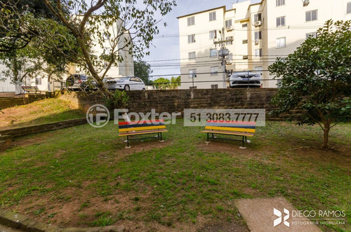 Imagem 13 de 30 de Apartamento, 38.24 M², Vila Nova - 190636