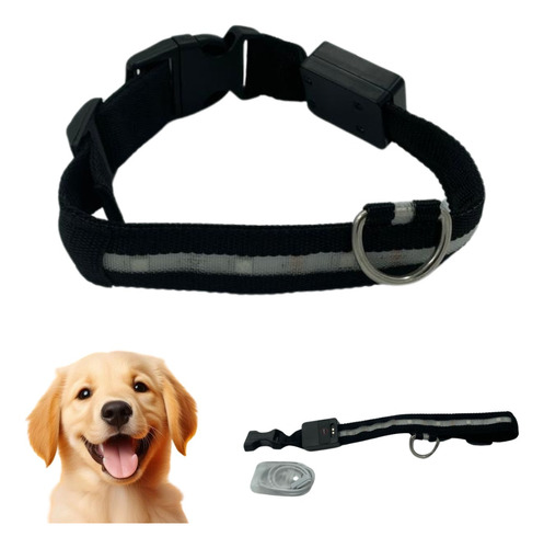 Collar Perro Led Mascota Luz Luminoso Paseo Seguridad Pets