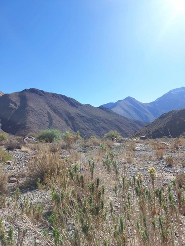 Venta Sitio En Vicuña Valle De Elqui