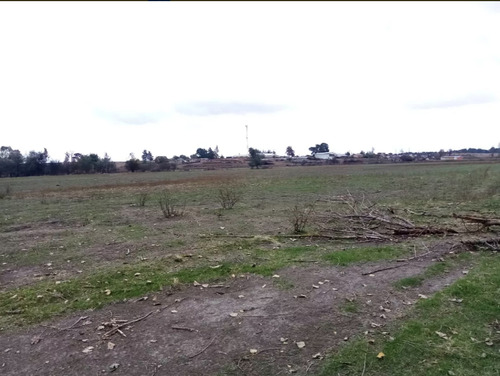 Imagen 5 de 13 de Agrícola En Venta En Chillán