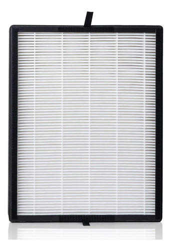 Filtro De Repuesto True Hepa H13 Breathesmart 45i/flex ...