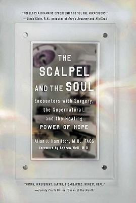 The Scalpel And The Soul - Allan J. Hamilton (paperback)