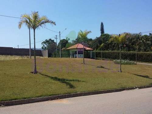 Imagem 12 de 15 de Ótimo Terreno Na Vila Preciosa - 278