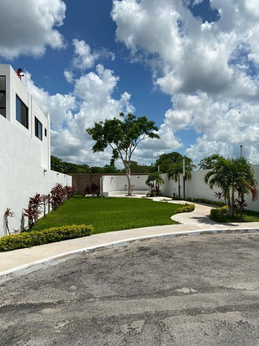 Imagen 4 de 8 de Terreno En Privada Conkal