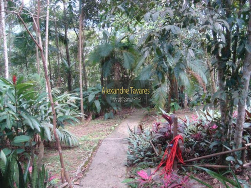 Imagem 14 de 25 de Casa - Ca00092 - 71129479