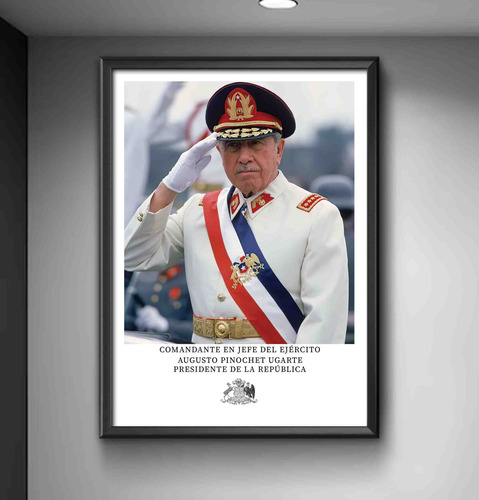 Cuadro General Augusto Pinochet 10 Madera & Vidrio 35x47 Cm