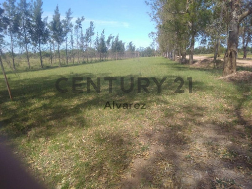 Imagen 6 de 25 de Venta De Lote De Terreno De Chacra Ideal Inversores