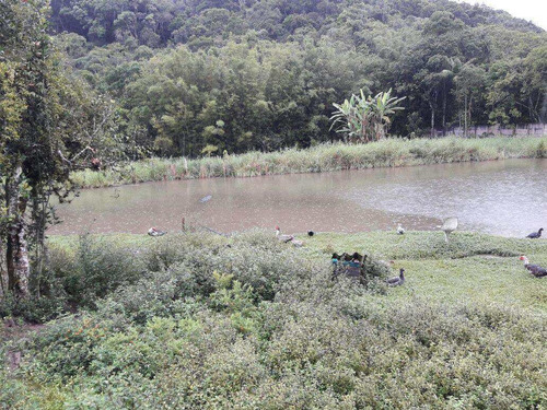 Imagem 15 de 30 de Tá Tudo Aqui, Quatinga Casa, Pasto, Córrego, Lago, Só Usufruir. - V170