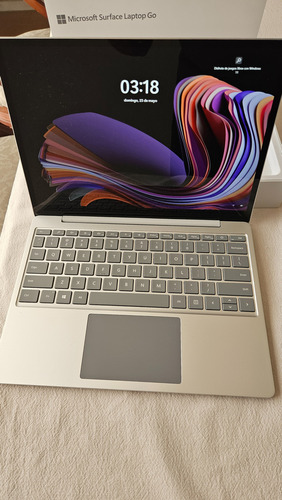 Microsoft Surface Laptop Go 2 I5 64gb Ssd Platinum 13h (Usado)