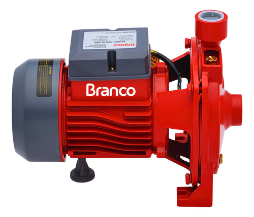 Bomba D'agua Centrifuga Branco 1,0cv Bivolt Rotor Em Latão
