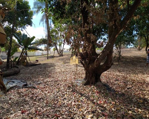Imagem 4 de 30 de Terreno No Bairro Cidade Jardim - Esmeraldas - Te00295 - 68404585