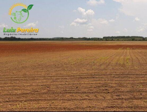 Imagem 8 de 11 de Fazenda À Venda No Vale Do Araguaia - To - 1.108 Hectares (dupla Aptidão) - 2101