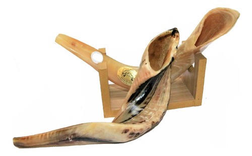 Shofar Chifre De Carneiro De Tocar + Suporte - De Israel