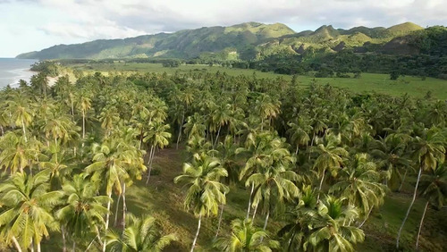 Terreno Con Playa De Venta En Samana