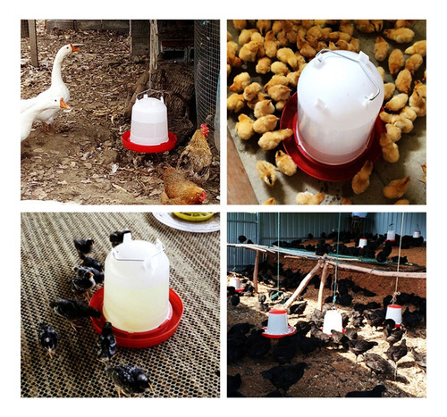 (d) Bebedero Con Fuente Para Aves De Corral No More Thirstyc
