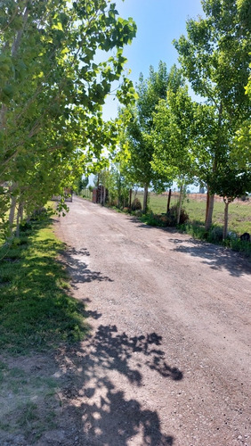 Imagen 7 de 15 de Alquiler De Cabaña Finca