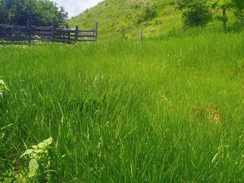 Finca Multipropósito En Minasal Yacopi Cundinamarca