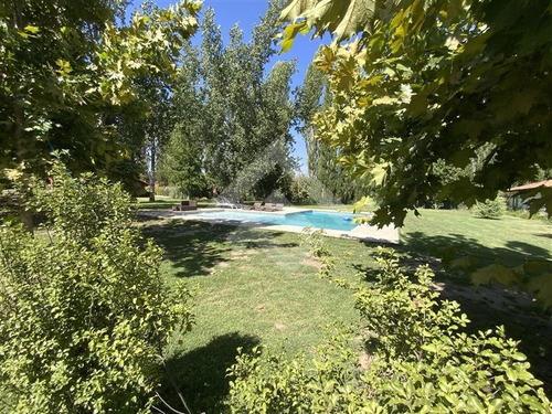Imagen 29 de 30 de Agrícola En Venta En Paine