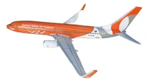 Comprar Maquete De Avioes . 737- 800 Gol Smiles Viajens 40 Cm
