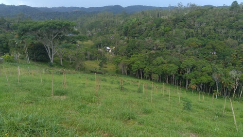 Imagem 2 de 30 de Chácara 20.000 M² C/lindo Chalé De Madeira A 1,5 Km Da Rodovia Em Juquitiba-sp