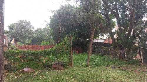 Imagen 8 de 8 de Terreno En Venta