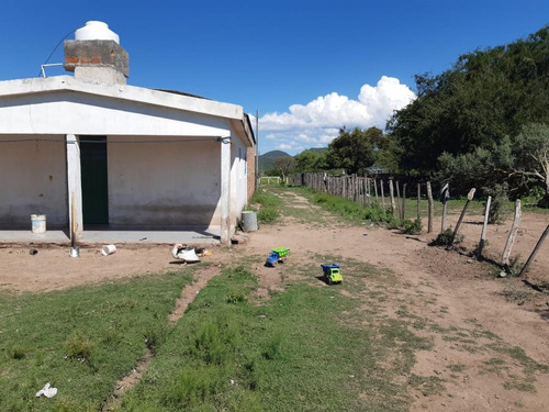 Campo En Venta Sobre Ruta 146 San Francisco, San Luis