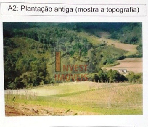 Imagem 6 de 10 de Area - Ref: 4743 - V-4743