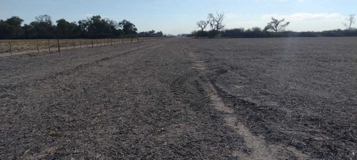 Imagen 8 de 14 de Sachayoj Campo Agrícola 1450 Hectáreas - Tope Gama