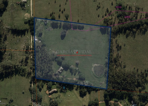 Imagen 2 de 3 de Venta De Chacra 5 Has En Punta Ballena, Maldonado